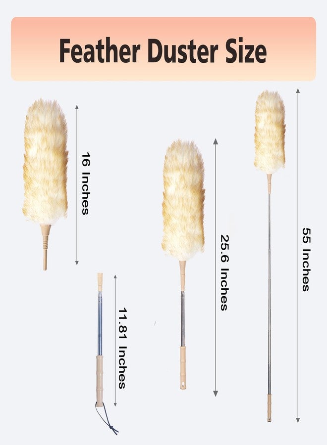 Cede noo Cedenoo Lambswool Duster Extendable 22–55 Inch Natural Wool Duster with Flexible Head for Ceilings Furniture Blinds Electronics Washable Reusable - Image 3