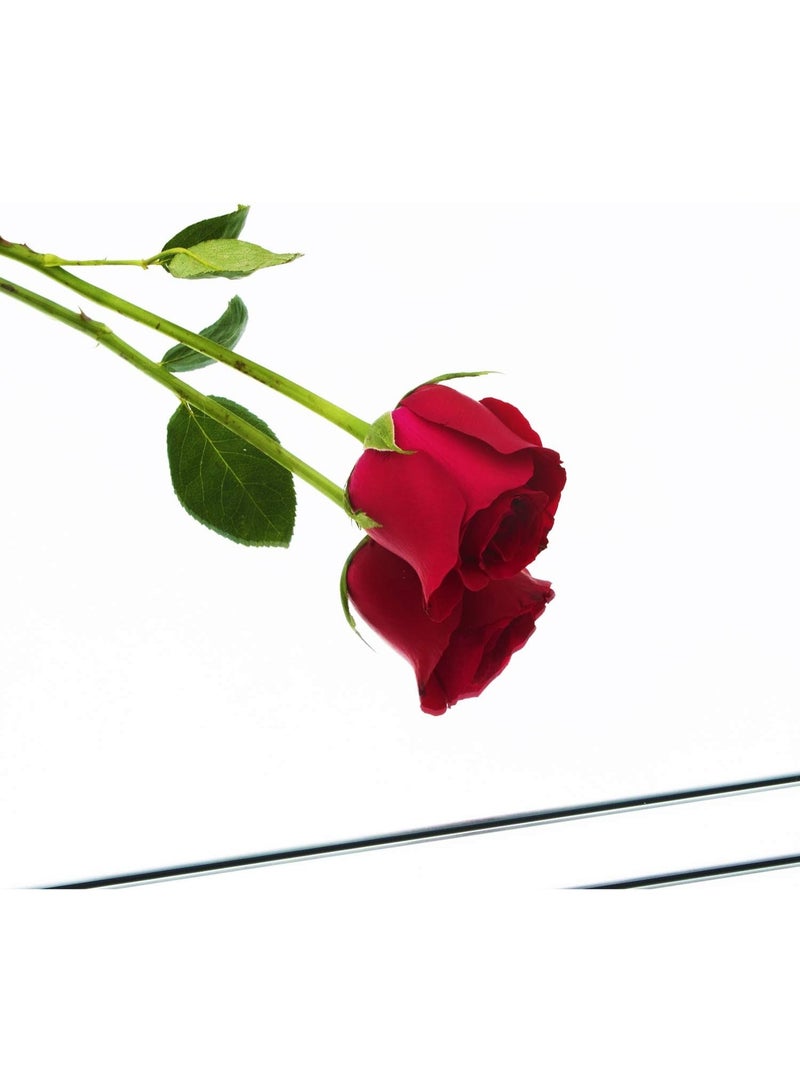 بيوينتي لوحات مرآة أكريليكية - Image 3