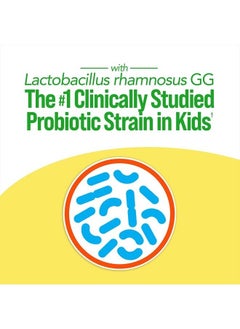 Culturelle Probiotics Ultimate Balance Probiotic for Use with Antibiotics - 20 Count – Probiotic Capsules Help Restore Good Bacteria Lost During Antibiotic Use & Contribute to A Healthy Immune System  - Image 2