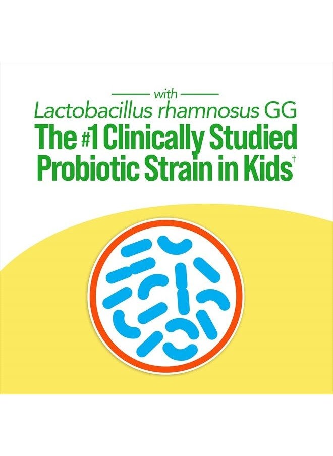 Probiotics Ultimate Balance Probiotic for Use with Antibiotics - 20 Count – Probiotic Capsules Help Restore Good Bacteria Lost During Antibiotic Use & Contribute to A Healthy Immune System