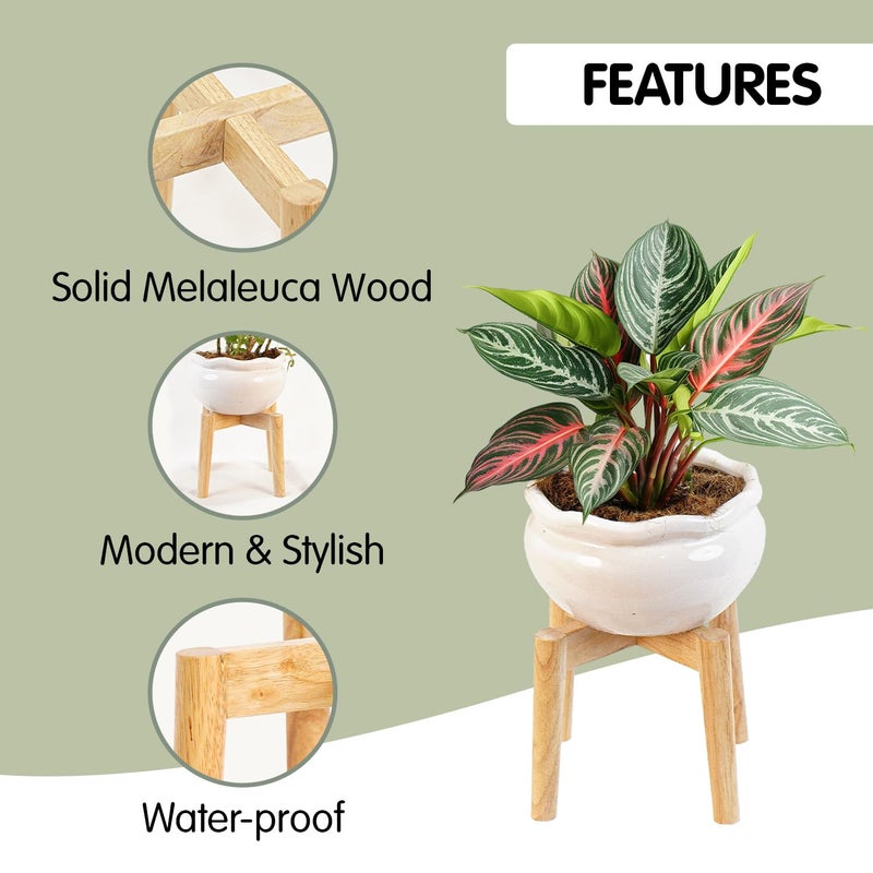 Nabytok Wood 7.5" x 9.8" Plant Stand Indoor Outdoor, Wooden Single Floor Plant Pot Holder, Natural Plant Stand, Assembly Required (Excluding Potted Plants) - Image 2