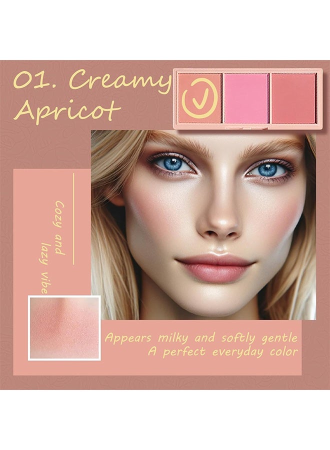 PIPLYKI Dream Girl Three Color Blush Tray,3 Color Matte Pink Blush Palette with Brush, Long Lasting Cheek Makeup, Smooth and Light Blush Powder for Face Beauty-#01 - Image 3