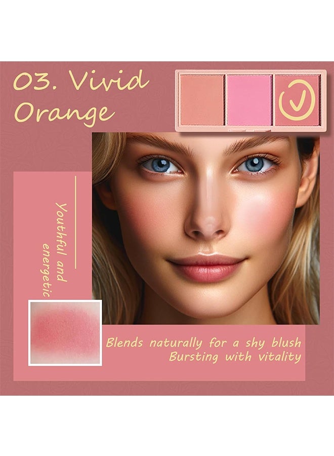 PIPLYKI Dream Girl Three Color Blush Tray,3 Color Matte Pink Blush Palette with Brush, Long Lasting Cheek Makeup, Smooth and Light Blush Powder for Face Beauty-#01 - Image 5