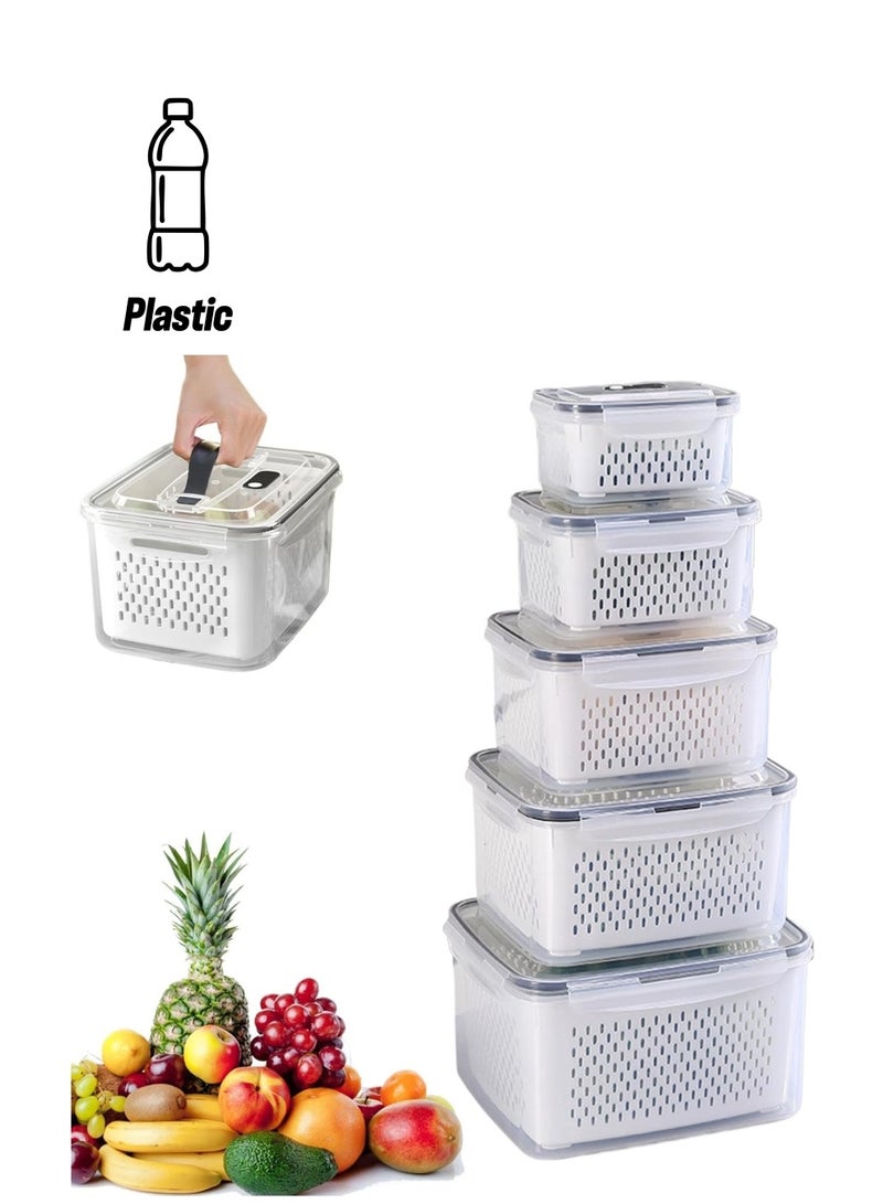 Joyelink Outdoor Handheld Picnic Box - Field Fruit & Vegetable Organiser - Picnic Double Drainer - Berry Organiser - Fresh Food Organiser - Food Organiser with Lid - Fruit Organiser with Strainer - Fridge Fruit & Food Organiser Set - Image 1