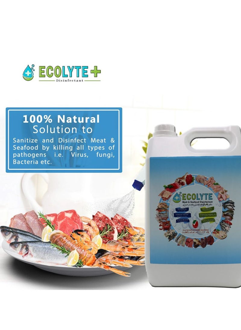 ECOLYTE+ - Ecolyte+ All in one Bundle (5Ltr, 3pcs) Buy Two get one Free | Multi Surface Disinfectant | Fruit and vegetable Disinfectant | Meat and Seafood Disinfectant | Complete Natural Disinfectant Bundle - Image 1