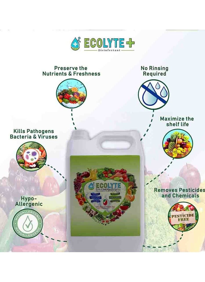 ECOLYTE+ - Ecolyte+ All in one Bundle (5Ltr, 3pcs) Buy Two get one Free | Multi Surface Disinfectant | Fruit and vegetable Disinfectant | Meat and Seafood Disinfectant | Complete Natural Disinfectant Bundle - Image 1