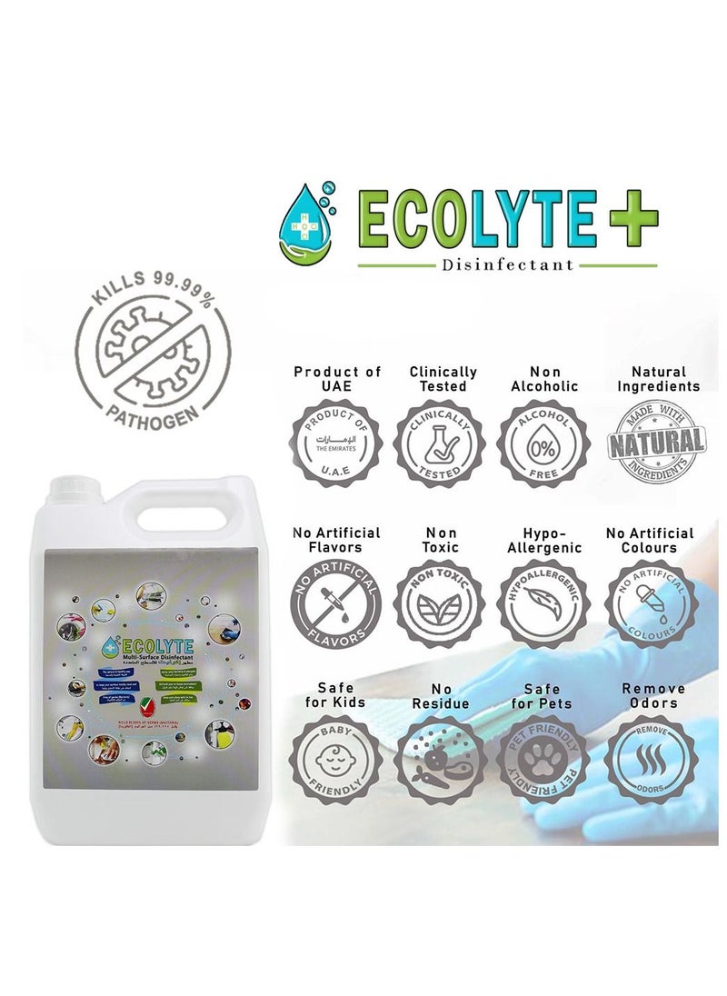 ECOLYTE+ - Ecolyte+ All in one Bundle (5Ltr, 3pcs) Buy Two get one Free | Multi Surface Disinfectant | Fruit and vegetable Disinfectant | Meat and Seafood Disinfectant | Complete Natural Disinfectant Bundle - Image 1