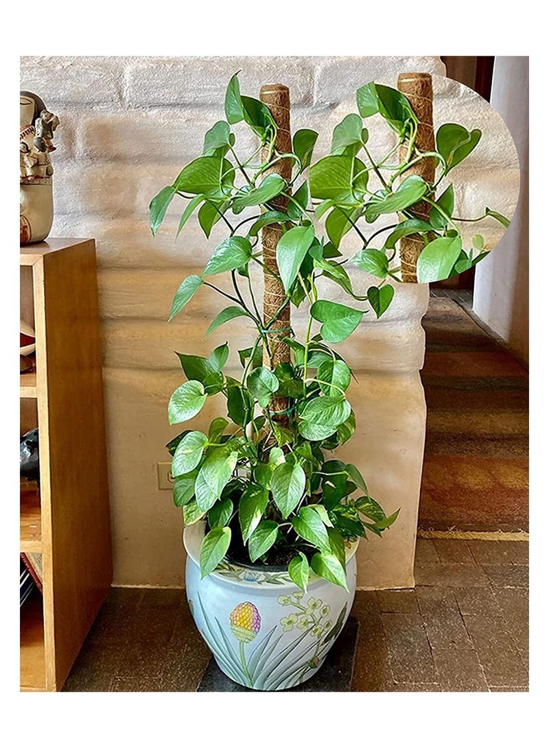 2-Piece 40cm Moss Pole for Climbing Plants Plant Support Extension - Image 5