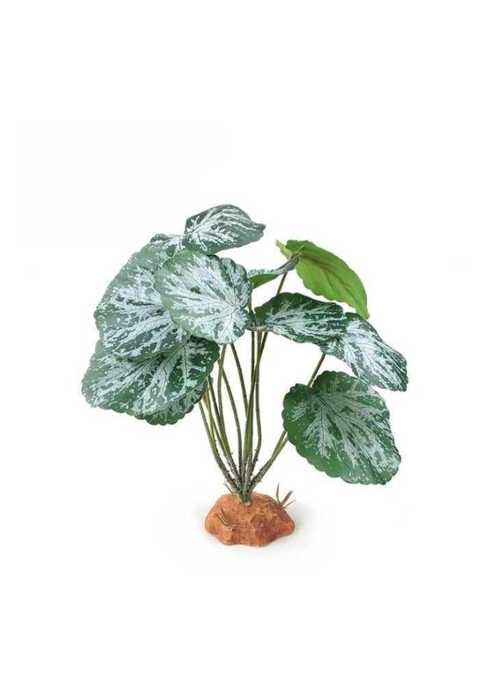 نباتات أحواض السمك، ديكورات أحواض السمك، أسماك ذهبية، مناظر مائية، جلود أسماك QM-120