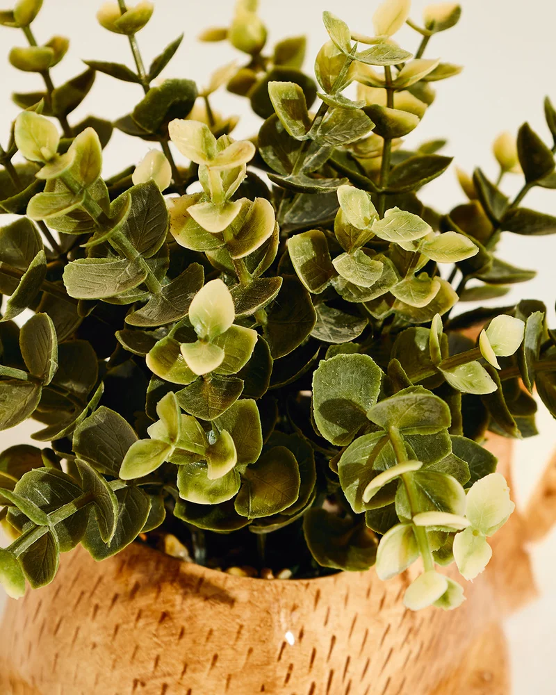REDTAG Artificial Plants In Sloth Planter