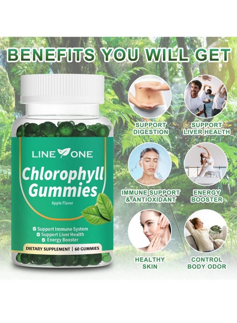 LINE ONE Chlorophyll Ashwagandha Gummies - Immune & Liver Support Energy Booster Apple Flavor Vegan 60 Count - Image 4