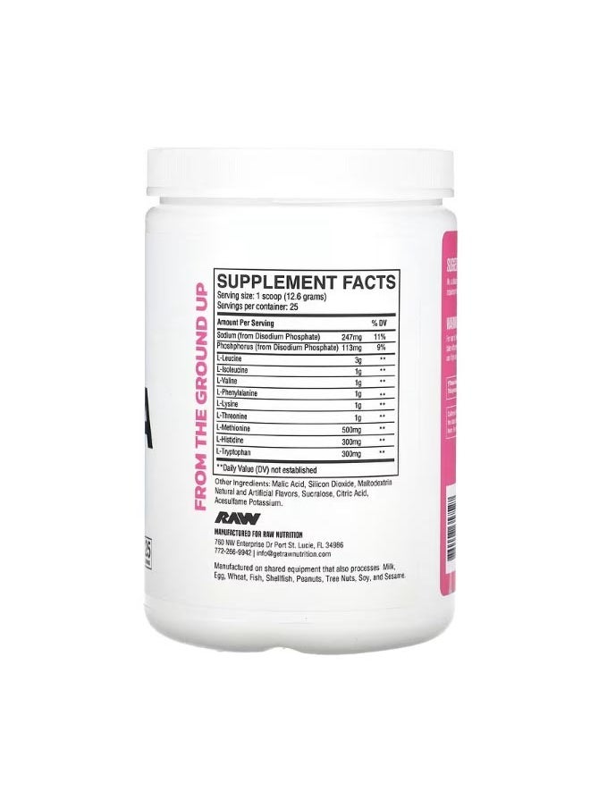 Raw Nutrition - EAA Watermelon 11.11 oz 315 g - Image 1