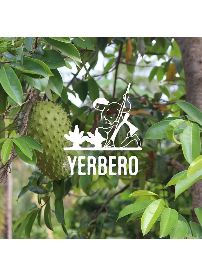 Yerbero - Whole Dried Graviola Soursop Leaves (4 oz - 330+ Leaves Per Bag) Hoja De Guanabana, 100% All Natural Delicious Fresh Tea | From Mexico | Premium Wildcrafted Quality. - Image 5