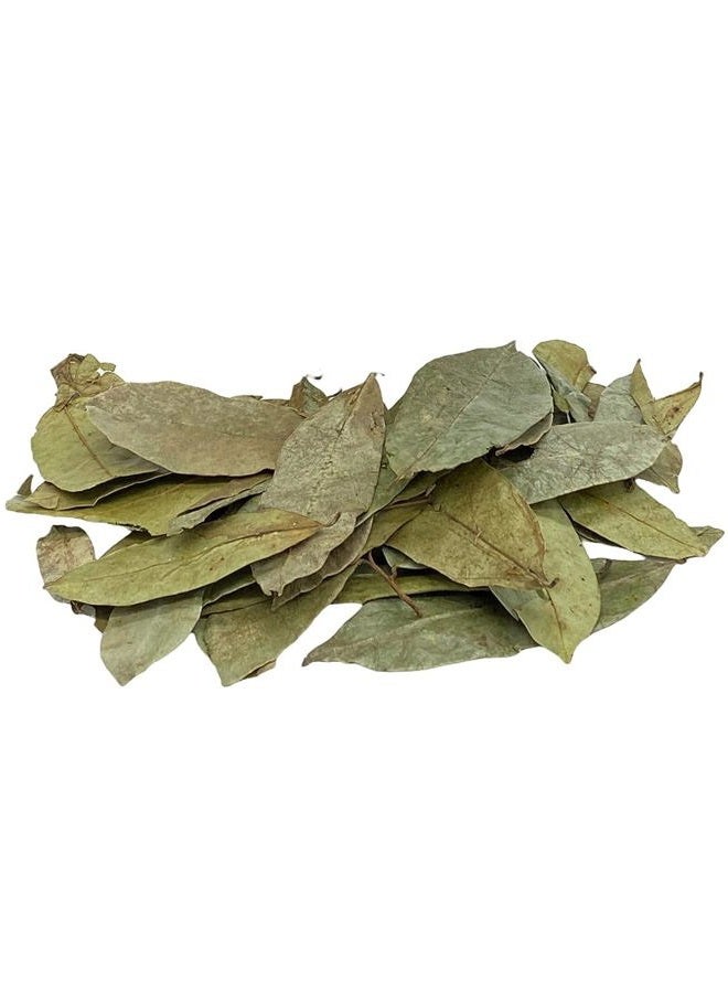 Yerbero - Whole Dried Graviola Soursop Leaves (4 oz - 330+ Leaves Per Bag) Hoja De Guanabana, 100% All Natural Delicious Fresh Tea | From Mexico | Premium Wildcrafted Quality. - Image 4
