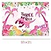 BEOXAGAR 5ft3ft Dinosaur Birthday Party Photo BackdropThree DinoRex Birthday Party Decorations GirlPink Dino 3rd Birthday Party Decorations BackdropDinosaur Birthday Party Supplies 3 Year Old Girl - Image 2