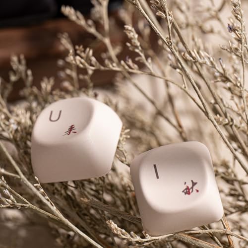 Akko PBT Keycaps Set, Mountain Seclusion MOA Profile 140-Key PBT Keycaps for Mechanical Keyboards - Image 5