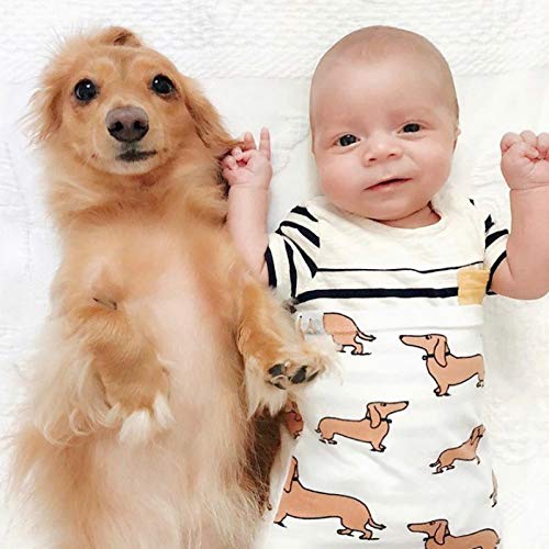Culclendy Doxie Swaddle Sack for Newborn, Dachshund Cocoon, Weiner Dog Swaddle with Headband, Boy Sleep Sack, Baby Boy Cocoon Swaddle, Cocoon Sack, Newborn Hospital Photos - Image 4