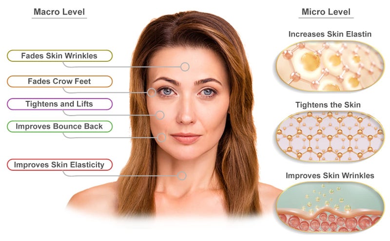 Visage Pure Triple Elastin Pro - Skin Firming Elastin Boost Face Serum - Contains "GCGs" That Increases the Skin's Elastin and Elasticity - USDA Organic - Physician Formulated - Research Supported - Image 3