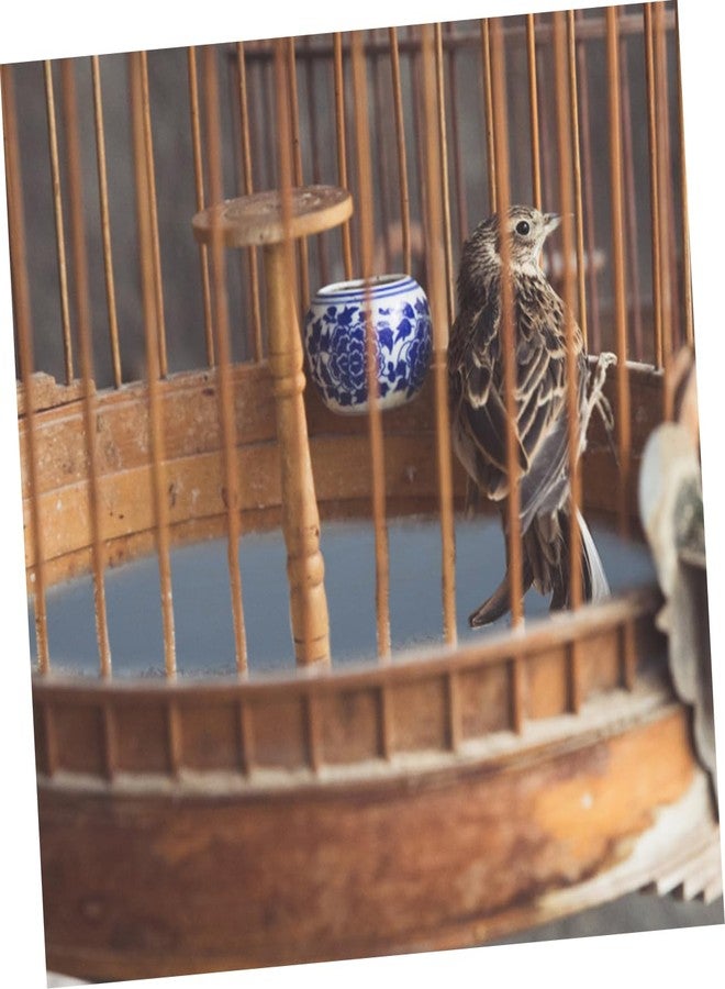 VICASKY 5pcs Bird Cage Sandpaper Aviary Birdcage Accessories Birdcage Liners Parakeets Bird Cage Mat Polish Covers Gravel Outdoor Bird Cage Replacement Indoor Grit for Silicon Carbide - Image 5