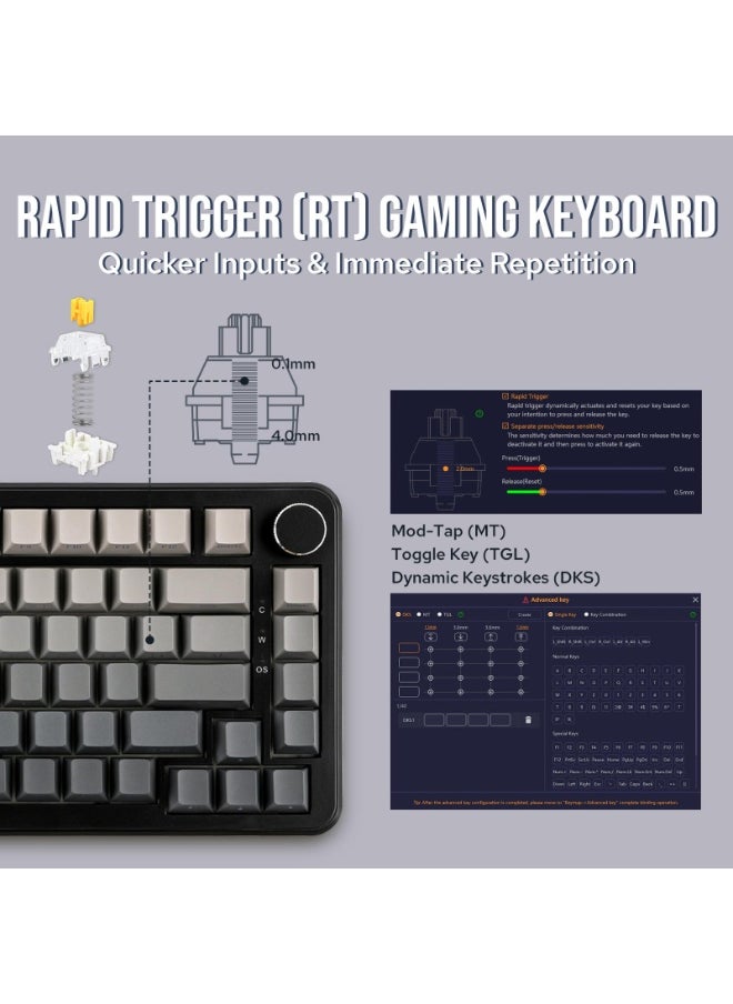 AK820 MAX Gasket Mount Wireless Mechanical Keyboard BT5.0/2.4GHz/USB-C Gaming Keyboard 5 Layer Pad Flex-cut PCB FR4 Plate with RGB Backlight for Win/Mac