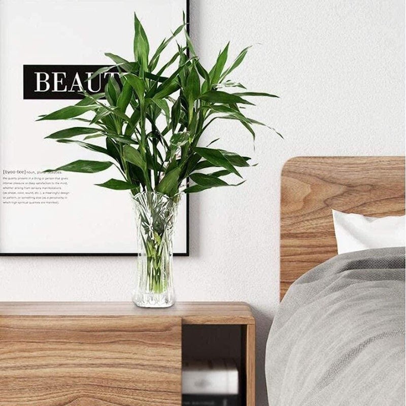 BRUSHFINCH Glass Vase for Home Decor Center Table Bedroom Living Room and Office Decoration Pack of 1 Clear Luster Glass Vase Decorative vase for Home Office Desk Etc - Image 2