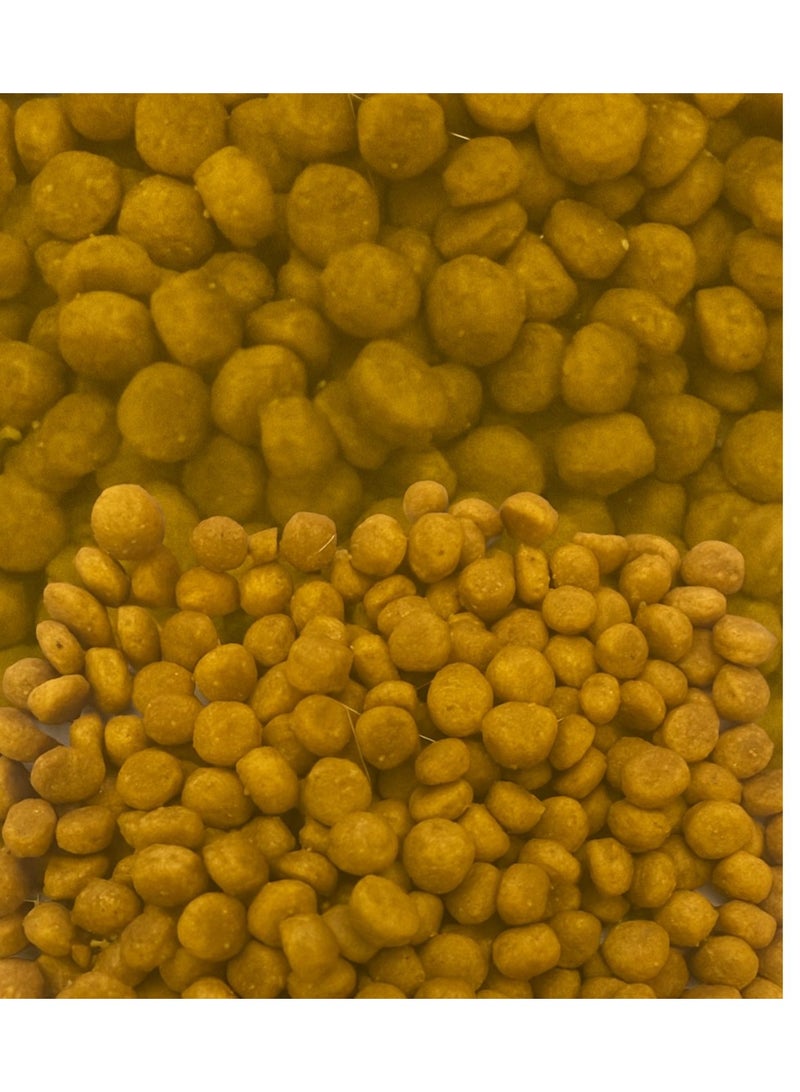 Dry Cat Food with Vegetables (3 Sachets = 300g) - Image 4