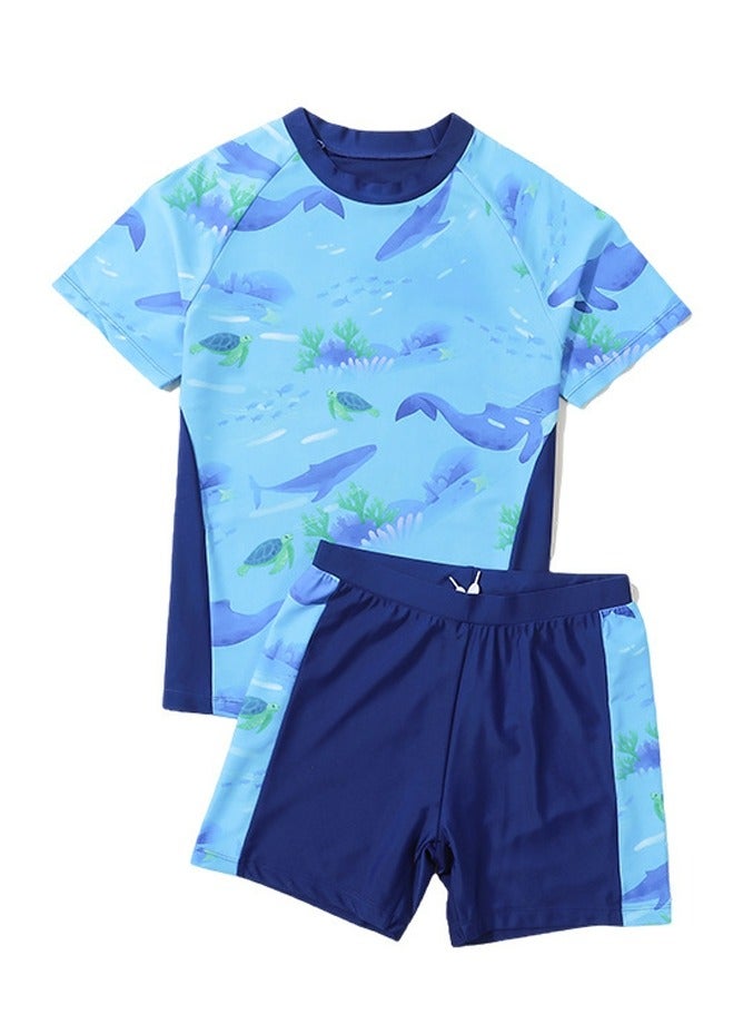 Loquat Boys Quick Dry Split Swimsuits Set Short Sleeve Swim Shirts ,Swim Trunks 2 Piece Swim Set - Image 1