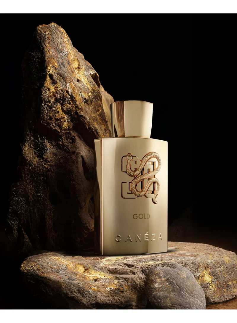 كانيزا كانيزا جولد إنتنس أو دو بارفان - عطر زهري متبل فاخر بنفحات الزعفران والعنبر والأخشاب | عطر فخم عميق يدوم طويلاً | 100 مل