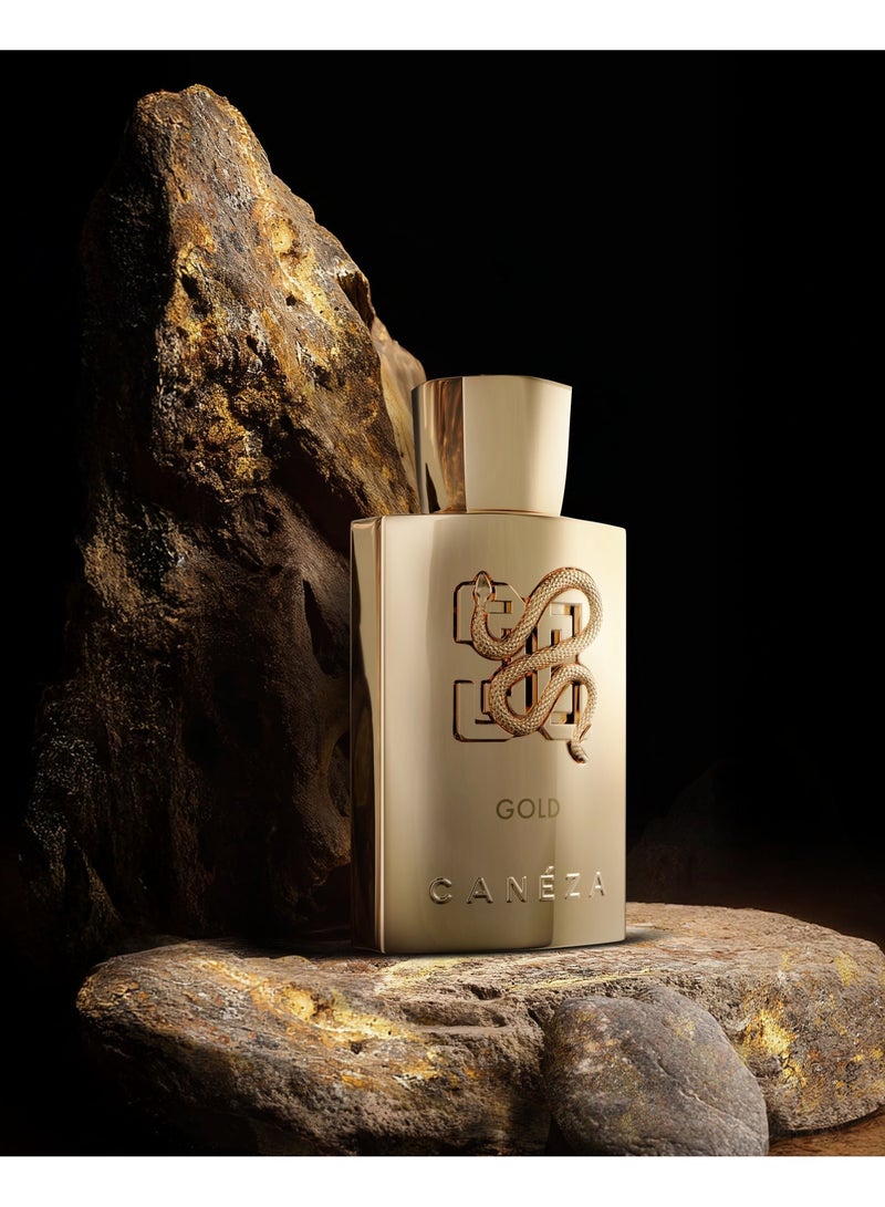 Canéza Gold Intense Eau de Parfum - Bright Citrus & White Florals with a Warm Leather-Vanilla Base | Deep, Long-Lasting Scent | 100ML - Image 3