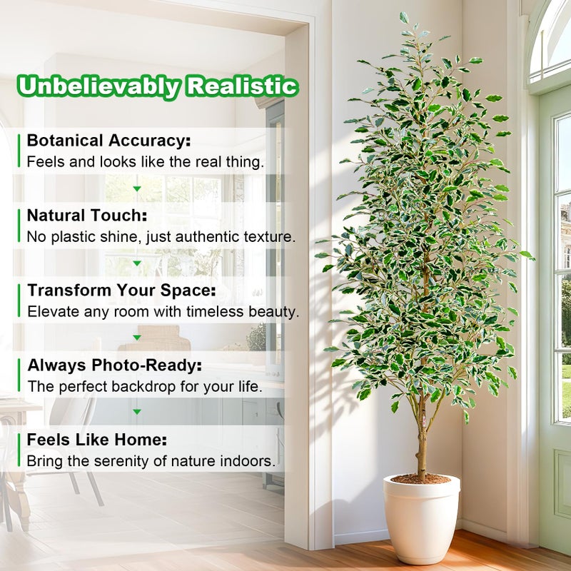Bailikang 6FT Artificial Ficus Trees Indoor Faux Trees Indoor Fake Floor Plants Tall Artificial Tree with White Pot Faux Tree Fake Indoor Tree Silk Plants Artificial Trees for Home Decor Indoor - Image 3