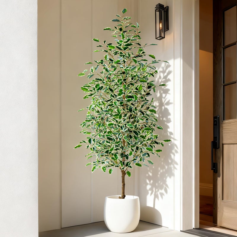 Bailikang 6FT Artificial Ficus Trees Indoor Faux Trees Indoor Fake Floor Plants Tall Artificial Tree with White Pot Faux Tree Fake Indoor Tree Silk Plants Artificial Trees for Home Decor Indoor - Image 2