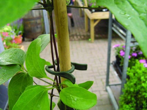 Bosmere H201 Lever Loops Plant Grippers 100Pack - Image 2