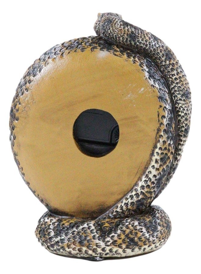 Ebros Gift Realistic Ferocious Diamondback Rattlesnake Coiling Around Clock Desktop Table Roman Numerals Accent Hand Painted Taxidermy Sculpture Lifelike Snake Figurine Snakes Reptile Animal Decor - Image 5