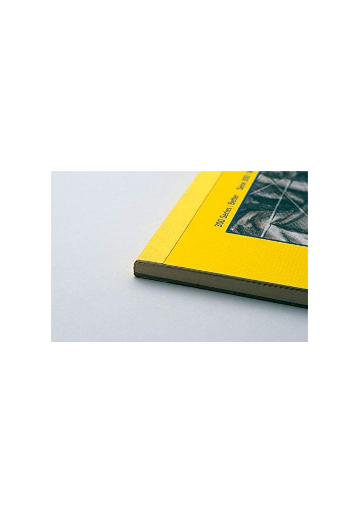 Strathmore 300 Series Bristol Smooth Paper Pad - 20 Sheets, 270 GSM, Acid Free for Final Artwork - Image 5