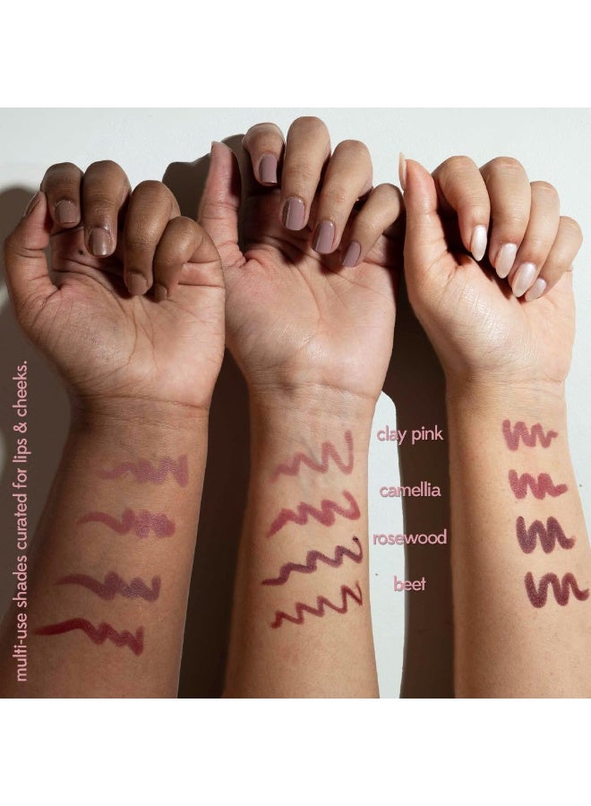 Ruby's Organics OneStick Lipstick for Women-Blurr, Lip and Cheek Colour Crayon, Matte Finish, Lip Makeup- Enriched with Antioxidants and Vitamins, Chemical Free- Clay Pink - Image 3
