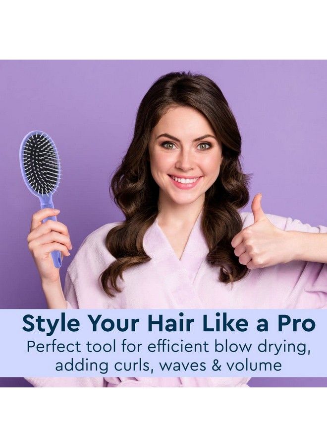 GUBB فرشاة فرنسية بيضاوية لتصفيف الشعر وفك التشابك والعناية بالشعر ؛ أفضل فرشاة شعر لفك التشابك ؛ أفضل فرشاة شعر للرجال والنساء ؛ فرشاة شعر مثالية لجميع أنواع الشعر - Image 3