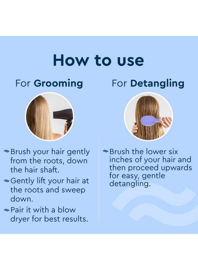 GUBB فرشاة فرنسية بيضاوية لتصفيف الشعر وفك التشابك والعناية بالشعر ؛ أفضل فرشاة شعر لفك التشابك ؛ أفضل فرشاة شعر للرجال والنساء ؛ فرشاة شعر مثالية لجميع أنواع الشعر - Image 5