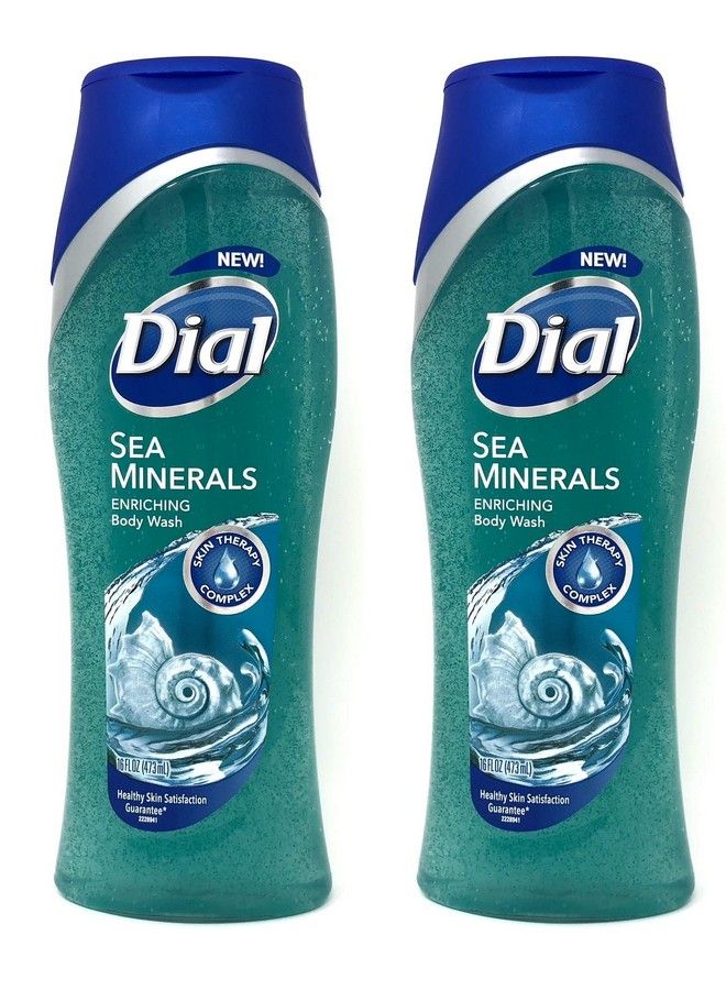 Dial Skin Therapy Enriching Body Wash Sea Minerals 16 Oz (Pack Of 2) - Image 2