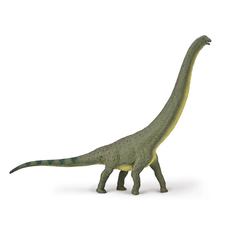 Collecta - Dreadnoughtus Dinosaur scale 1:100 - 80005