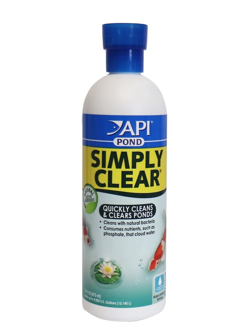 API POND SIMPLY CLEAR, 16 OZ