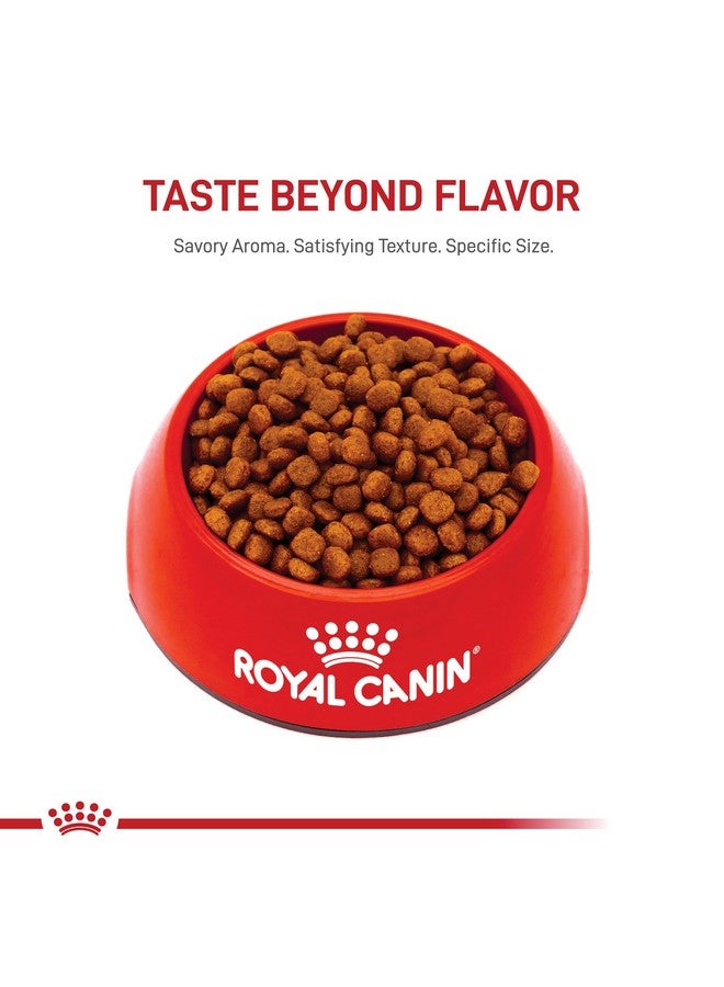 رويال كانين طعام جاف للكلاب من رويال كانين كافالير كينج تشارلز، كيس 3 أرطال - Image 5