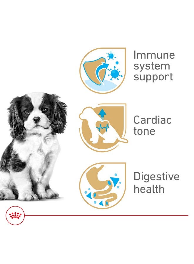 رويال كانين طعام جاف للكلاب من رويال كانين كافالير كينج تشارلز، كيس 3 أرطال - Image 4