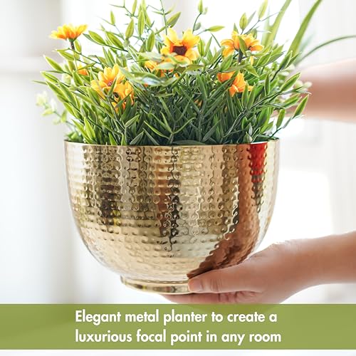 BEHOMA Metal Hammered Golden Bowl Planter for Home Decoration | Plant Pots for Home Living Room Bedroom Office Decor | Size Height- 5.5" x Dia. 8" inch (Plants not Included) - Image 5