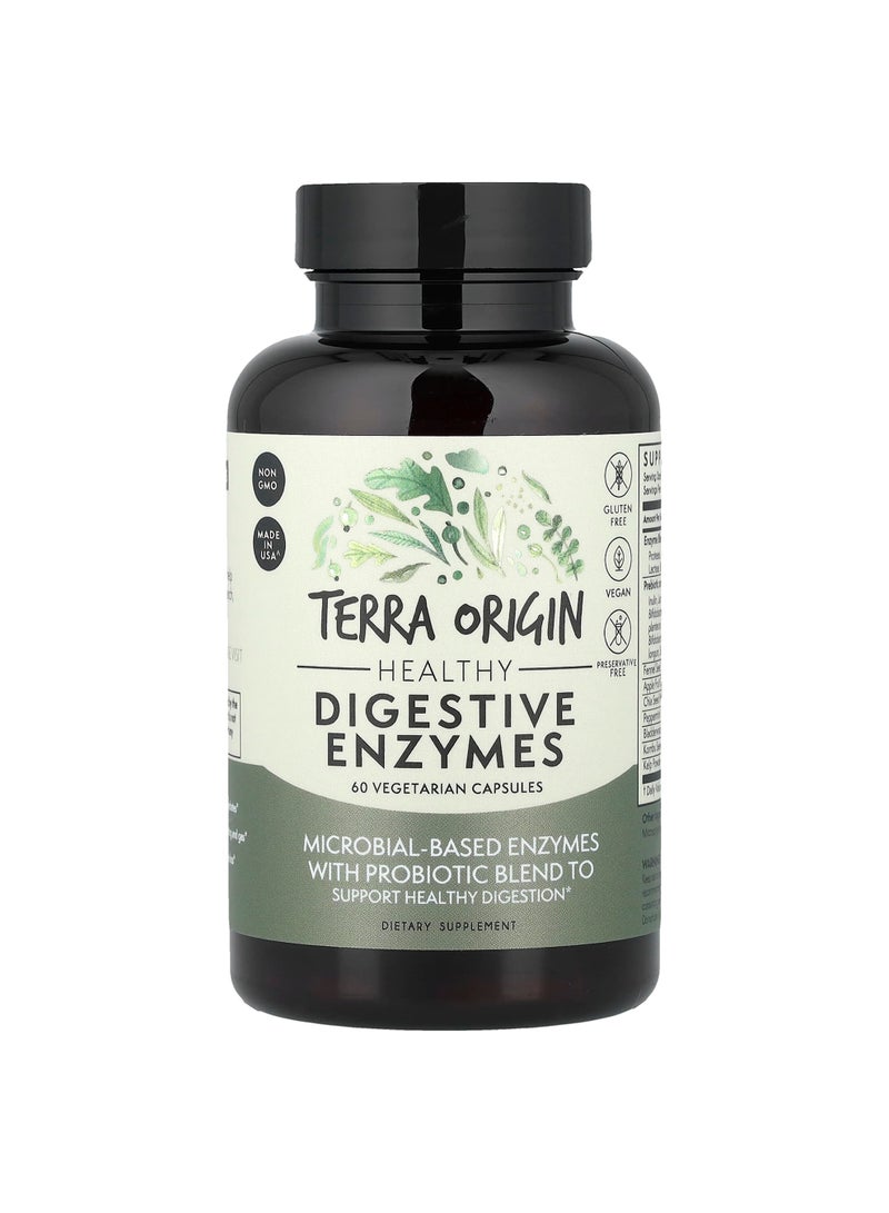 Healthy Digestive Enzymes, 60 Vegetarian Capsules