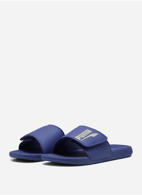 Cool Cat 2.0 Slides