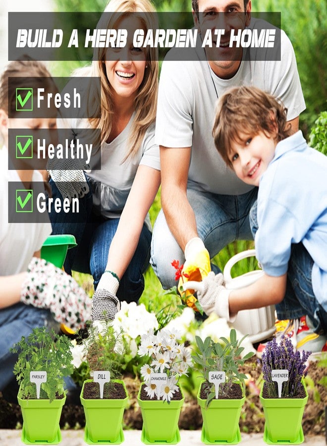 Meekear 10 Herb Seeds Garden Starter Grow Kit with Green Pots, Markers, Nutritional Soil, Watering, Herb Clipper, Complete Indoor Potted Plant Growing Set for Kitchen DIY - Image 4