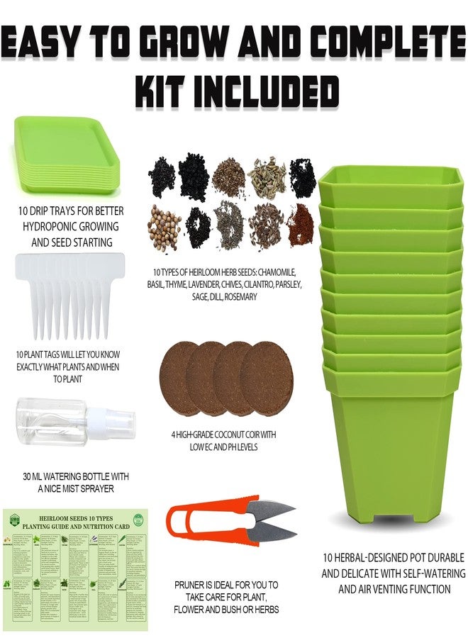 Meekear 10 Herb Seeds Garden Starter Grow Kit with Green Pots, Markers, Nutritional Soil, Watering, Herb Clipper, Complete Indoor Potted Plant Growing Set for Kitchen DIY - Image 2