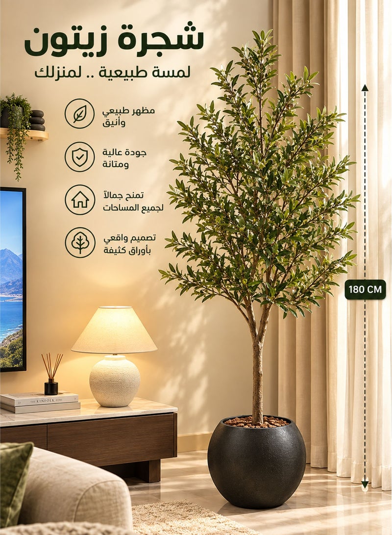 Cady One olive  tree 180 cm tall with a large black pot in an attractive design. Make your home more elegant. - Image 1