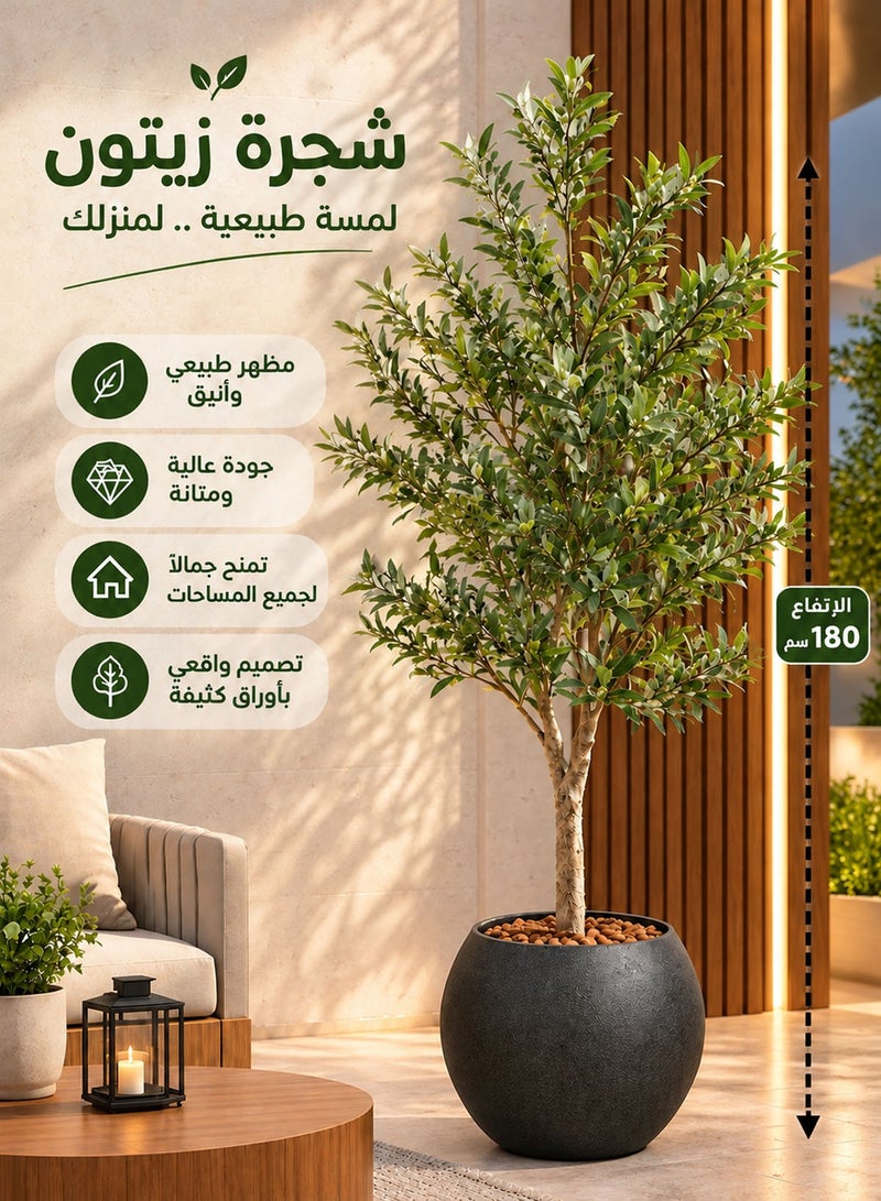 كادي ون شجرة زيتون ارتفاع 180 سم مع اصيص اسود كبير بتصميم جذاب اجعل منزلك اكثر اناقة - Image 1