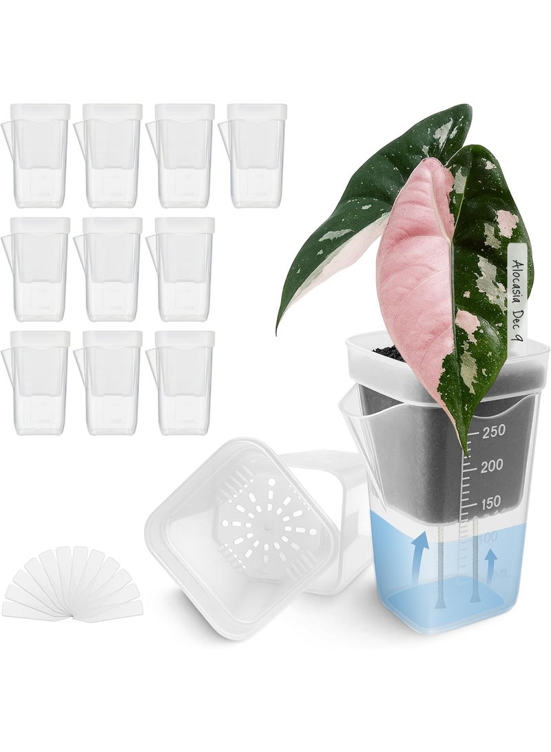 Bukela 12 Pack 2.5" Small Self Watering Pots for Indoor Plants, Mini Clear Plastic Planters, Semi-Hydro, Propagation, Cuttings, Seedlings, Hoya, African Violets, Alocasia, LECA, PON,12 Plant Label - Image 1